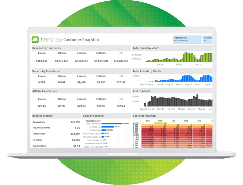 Teesnap Customer Snapshot Screen